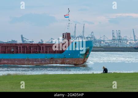 Hoek van Holland, Rotterdam, the Netherlands - September 9 2021: Transport ship passing Hoek van Holland after departing port Rotterdam Stock Photo