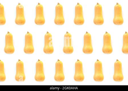 Seamless pattern made of yellow butternut squosh on white background. Stock Photo