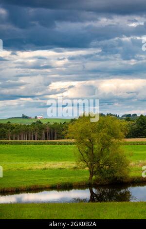 Wisconsin farmland and  pond with a dramitic sky in September, vertical Stock Photo