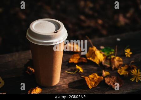 Small cardboard blank takeaway coffee cup on bench in autumn park. Fallen leaves. Close-up. Hot drink. Stock Photo