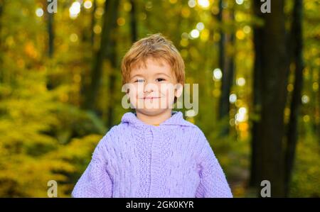Little boy in Autumn park. Autumnal mood. Smiling kid walking in autumn forest. Cute child in warm sweater. Stock Photo