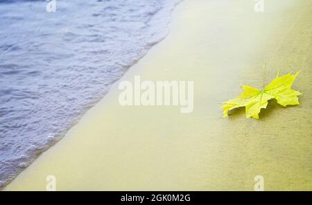 yellow autumn leaf lies on the sandy seashore Stock Photo