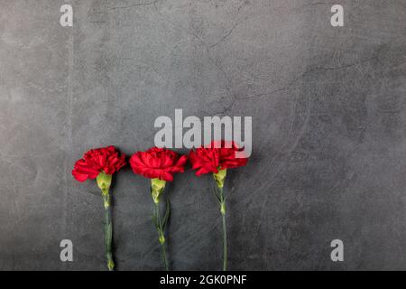 Three carnation flowers on a dark background. Flat lay. Copy space. Stock Photo