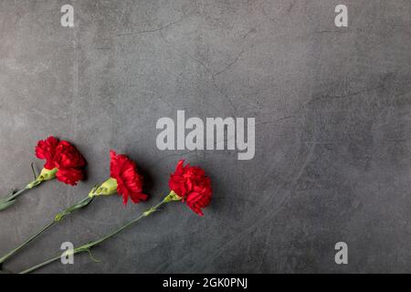 Three carnation flowers on a dark background. Flat lay. Copy space. Stock Photo