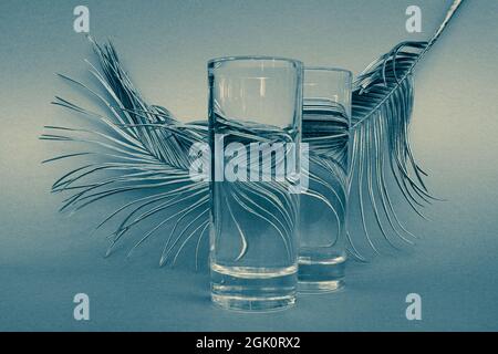 Palm leaf behind transparent glass filled with water on blue background. Optical distortion through water. Clean water concept. Selective focus. Close Stock Photo