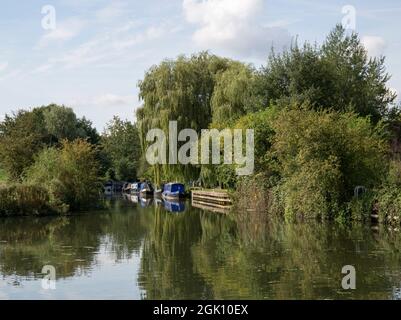 Narrowboats Moored by The Moorhen River Stort Harlow Essex Stock Photo