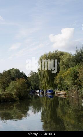 Narrowboats Moored by The Moorhen River Stort Harlow Essex Stock Photo