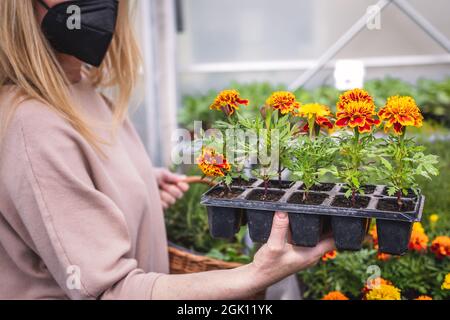 Woman wearing FFP2 face mask and shopping marigold (tagetes) flowers in garden center at spring. New normal and Covid-19 illness prevention Stock Photo