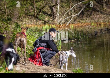 Woman at nature trip by the water with her pets. Tourist hiking with her dogs. Adventure outdoors in wilderness Stock Photo
