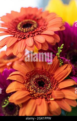 A colorful bouquet of flowers in a farmhouse style vase. Stock Photo