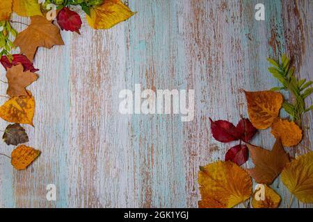 autumn-theme-background-old-wooden-vintage-planks-boards-with-plaid