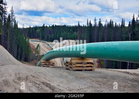 Construction of the Trans Mountain oil pipeline near Hinton Alberta Canada Stock Photo