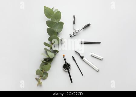 Henna, tools for eyebrows and eyelashes correction on light background Stock Photo