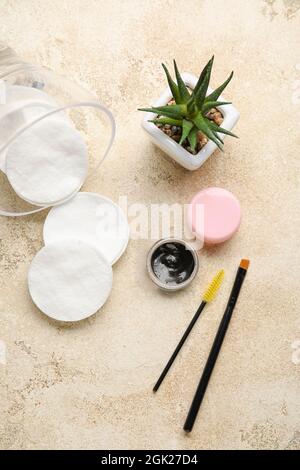 Henna, houseplant and tools for eyebrows correction on light background Stock Photo