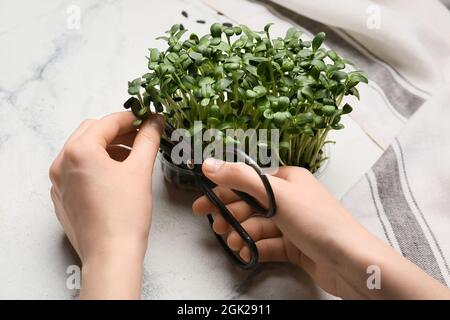 Woman cutting fresh micro greens on table, closeup Stock Photo