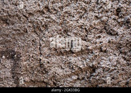 Grey concrete surface. exterior cement wall with small stones. Background, Wallpaper textured picture. top view. Nobody. Copy and test space. Aged Stock Photo