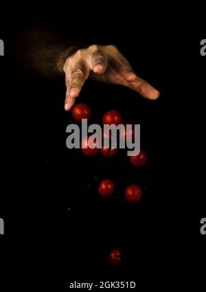 Hand dropping cherry tomatoes against black background Stock Photo