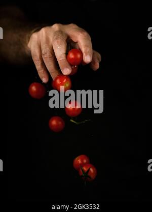 Hand dropping cherry tomatoes against black background Stock Photo