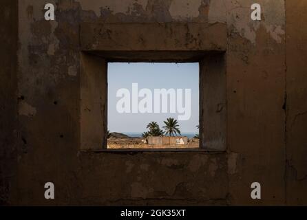 View of palm trees on window frame Stock Photo
