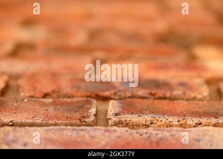 Close up of wall made of red bricks with black inclusions background bricks with texture Stock Photo