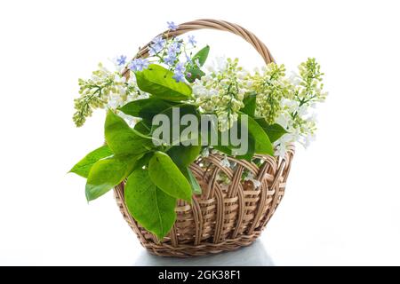 bouquet of white lilacs with a thank you card Stock Photo