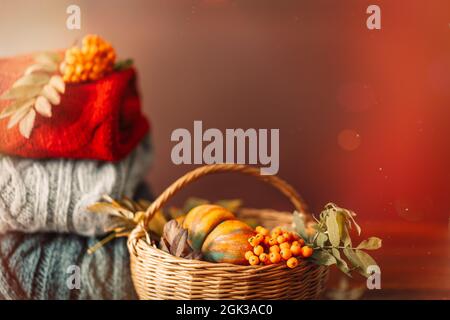 Wicker basket with autumn harvest on the background of knitted sweaters of different colors Stock Photo