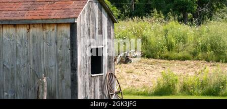 Great horned owl hovering near a wooden house in the garden Stock Photo