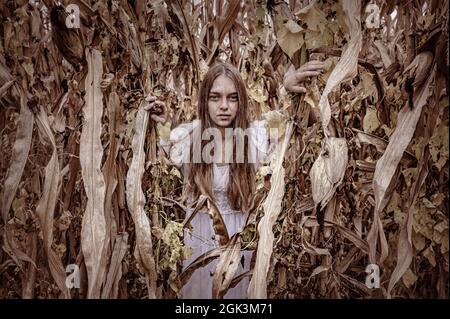Scary Ghost teen girl in white dress in cornfield. Holiday event halloween concept. Stock Photo