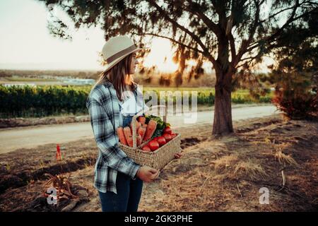 Caucasian female farmer standing in vineyards at sunrise holding fresh vegetables  Stock Photo