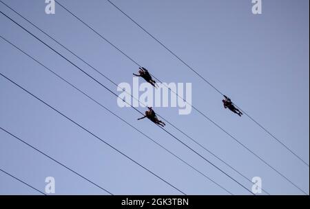 People riding super hero style on the Slotzilla Zipline at the Fremont Experience in Las Vegas, Nevada Stock Photo