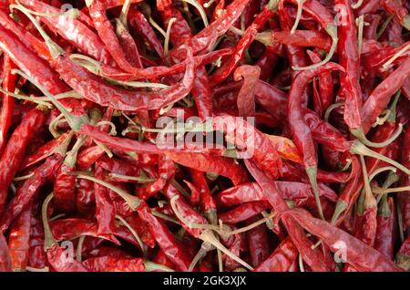 Dry red chilly spicy. Use for increase the taste of food. Stock Photo