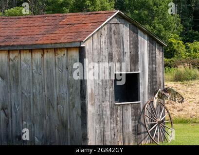 Great horned owl hovering near a wooden house in the garden Stock Photo