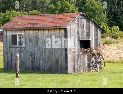 Great horned owl hovering near a wooden house in the garden Stock Photo