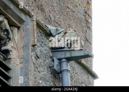 All Saints Church Ashdon. Essex. UK Stock Photo