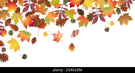 eps vector file with end of summer or fall colored leaves on upper side background