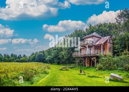 Landscape with beautiful tree house in romantic style as a holiday home in the edge of the forest with a flower meadow in the foreground Stock Photo