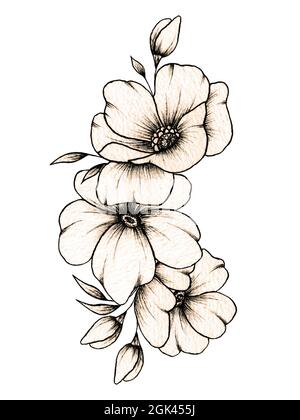 Flower Drawings Stock Photos and Images - 123RF
