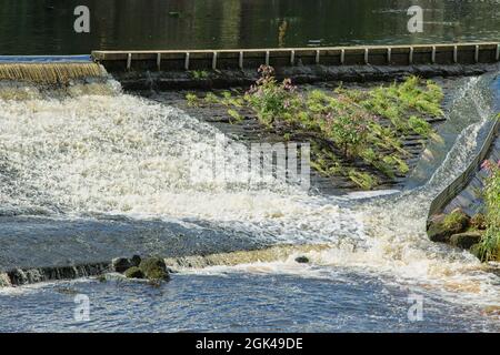 Whitewater cascade descending a wide weir with a small narrow flow of water to the right along the river quay, Otley, West Yorkshire, England, Stock Photo