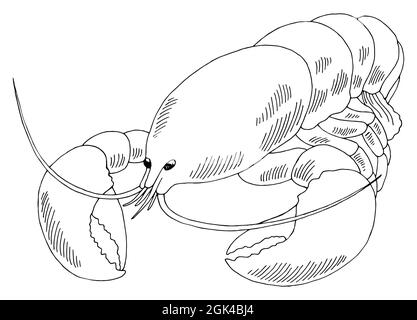 Lobster graphic black white isolated sketch illustration vector Stock Vector