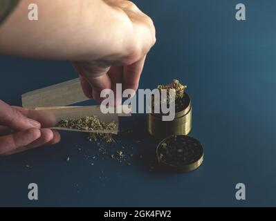 Close up man hands rolling a joint with herb girder to grind a cannabis buds on a blue background.Man rolling a marijuana weed blunt. Stock Photo