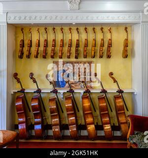 Violins and Cellos on display at the R.L Ray Violin Shop in Olympia, WA. Robert Ray is a  violin and bow craftsman. Stock Photo