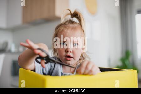 Portrait of little cauccasian girl using scissors indoors at home, looking at camera. Stock Photo