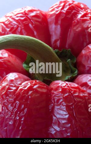 A red pepper that has got old and wrinkled Stock Photo