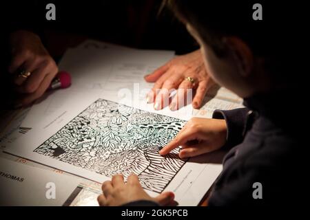 Orthoptics: Functional assessment with visual speed test (locate the animals on the drawing). Stock Photo