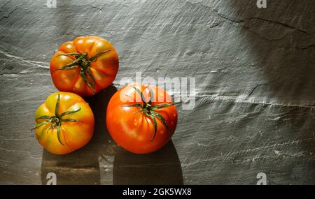 Still life with three organically grown tomatoes on a dark background with copy space to the right of the image. Stock Photo