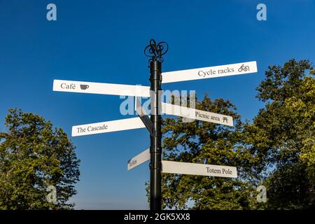 Windsor Great Park at Dawn, London UK Stock Photo