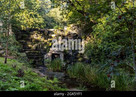 Windsor Great Park at Dawn, London UK Stock Photo