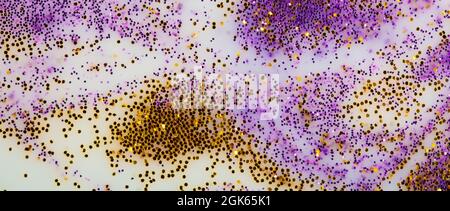 Festive or glamorous background. Gold and purple sparkles scattered on a white background. Stock Photo