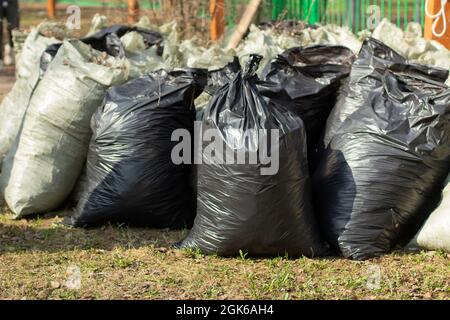 Lots of Black Trash Bags with Autumn Leaves in Them Around a Tree