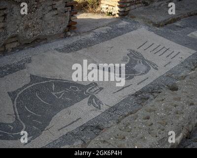 envy house mosaic old ancient ostia archeological site ruins Stock Photo